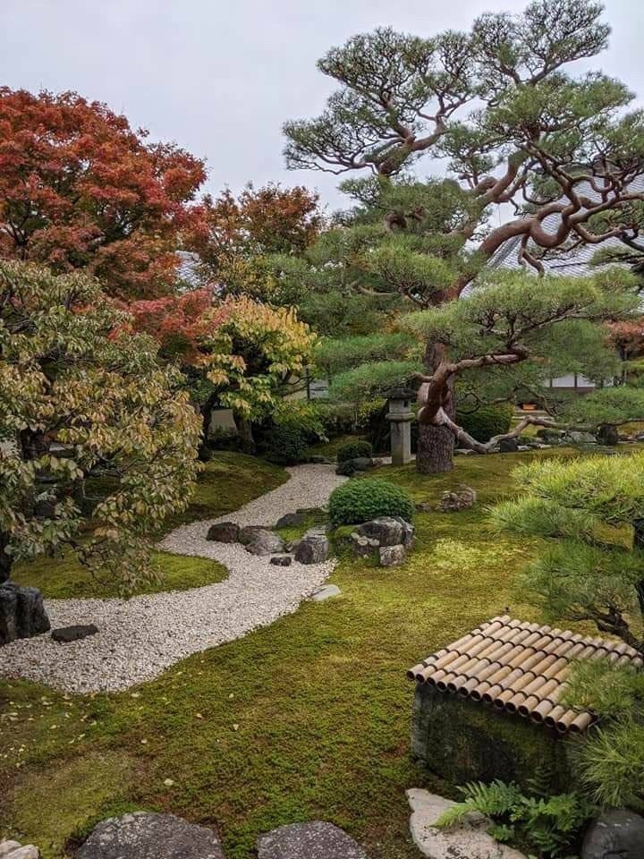 Welna Eco Spa Resort